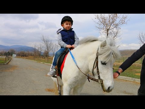 თეთრ რაშსზე ამხედრებული პრინცი ალექსანდრე თავის მონატრებულ მეგობარ პრინცესა ლიზის ხვდება